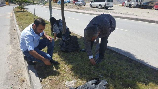 Hakkari Belediyesinden ağaç temalı uyarı levhaları