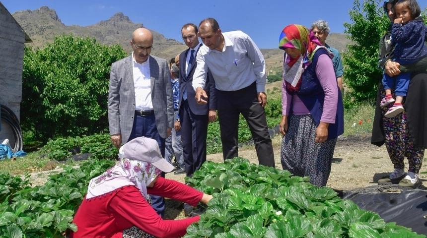 Vali Demirtaş: "Adana&rsquo;nın tarımsal potansiyeli iyi değerlendirilmeli"
