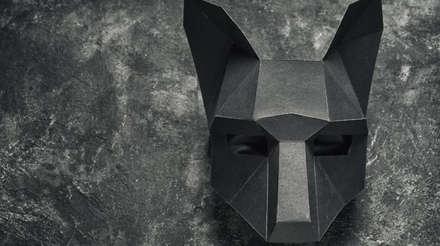 Ormanda kurt maskeli tecavüz!