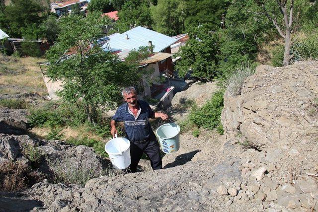 Taş üstünde fidan yetiştirip erozyonu önlüyor