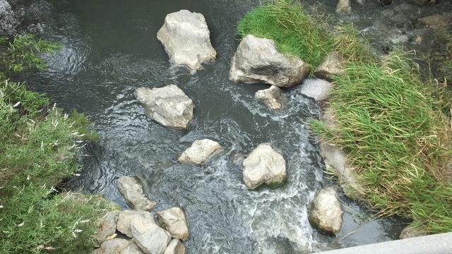 Burhaniye’de yazlıkçılar, dere kirliliğine tepki gösterdi