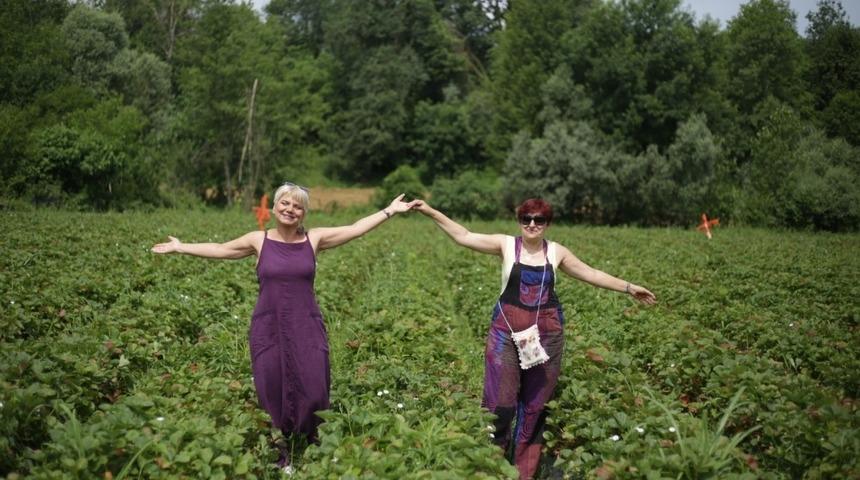Kozcağız&rsquo;da &ccedil;ilek hasadı şenliği