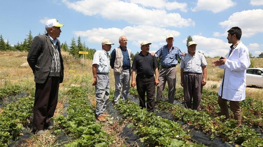Tarımsal eğitimlerle çiftçiye katkı sağlanıyor