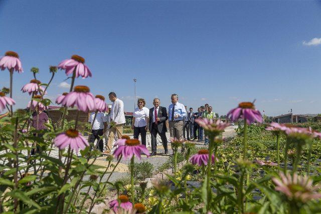 Başkan Büyükkılıç, Doğal Ürünler Bahçesi’nde incelemelerde bulundu