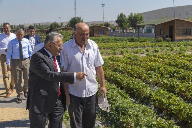 Başkan Büyükkılıç, Doğal Ürünler Bahçesi’nde incelemelerde bulundu