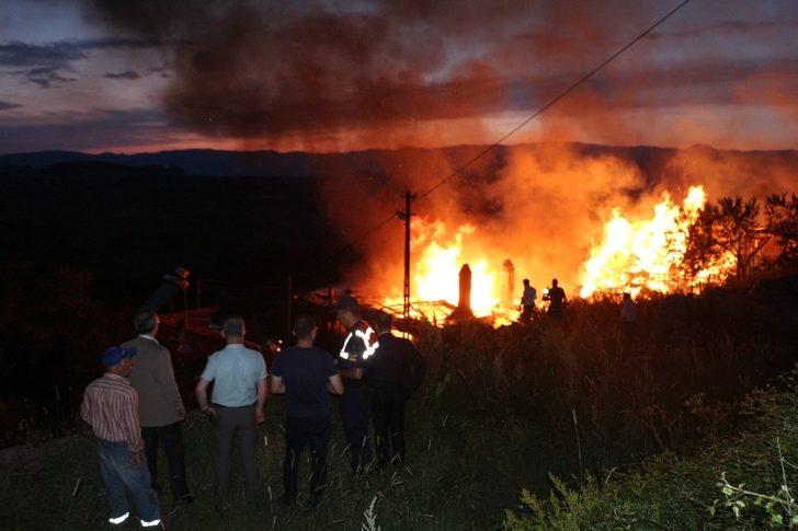 Kaymakam Pişkin, yangın çıkan köyde incelemede bulundu G4