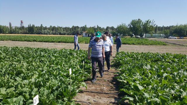 Kayseri Şeker, pancar tarımında damlama sulama sistemini yaygınlaştırıyor