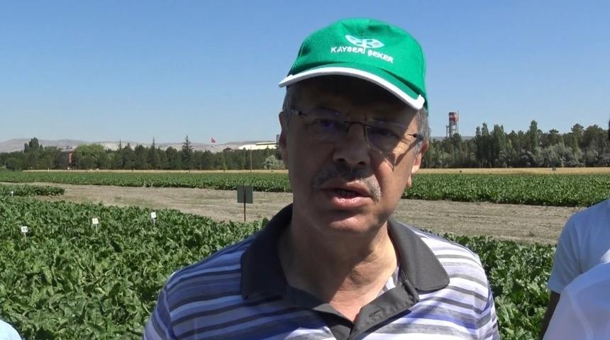 Kayseri Şeker, pancar tarımında damlama sulama sistemini yaygınlaştırıyor