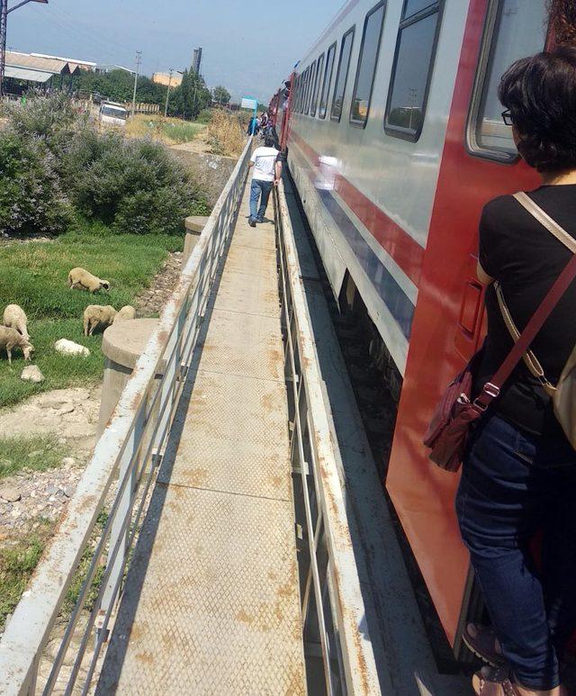 Yolcu treninin çarptığı çoban yaralandı