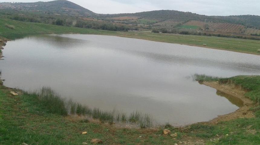 &rsquo;Sulama ve hayvan i&ccedil;me suyu g&ouml;letlerine girmeyin&rsquo; uyarısı