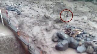 Araklı'da Mehmet Cevahir'in sele kapıldığı anlar ortaya çıktı!