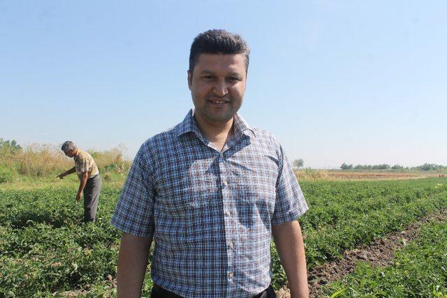 Buğdayda dane kaybına karşı denetim yapılıyor