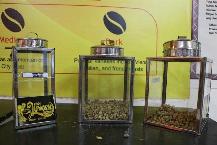 Kedi dışkısından üretilen kahve! Kopi Luwak�ın kilosu bin dolara