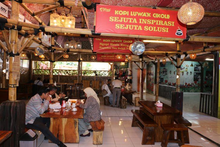 Kedi dışkısından üretilen kahve! Kopi Luwak�ın kilosu bin dolara