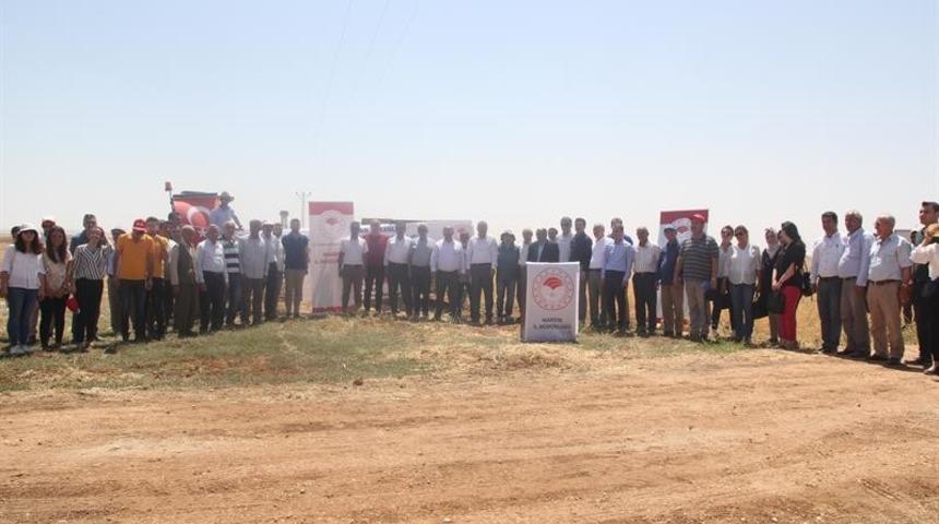 Mardin&rsquo;de &ccedil;ift&ccedil;ilere arda nohut &ccedil;eşidi tanıtıldı