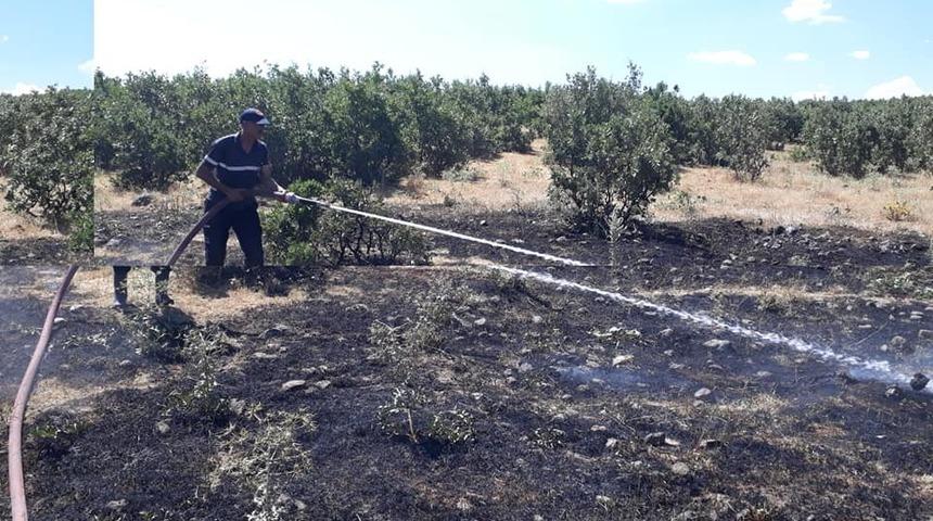 Yangın ormana sı&ccedil;ramadan s&ouml;nd&uuml;r&uuml;ld&uuml;