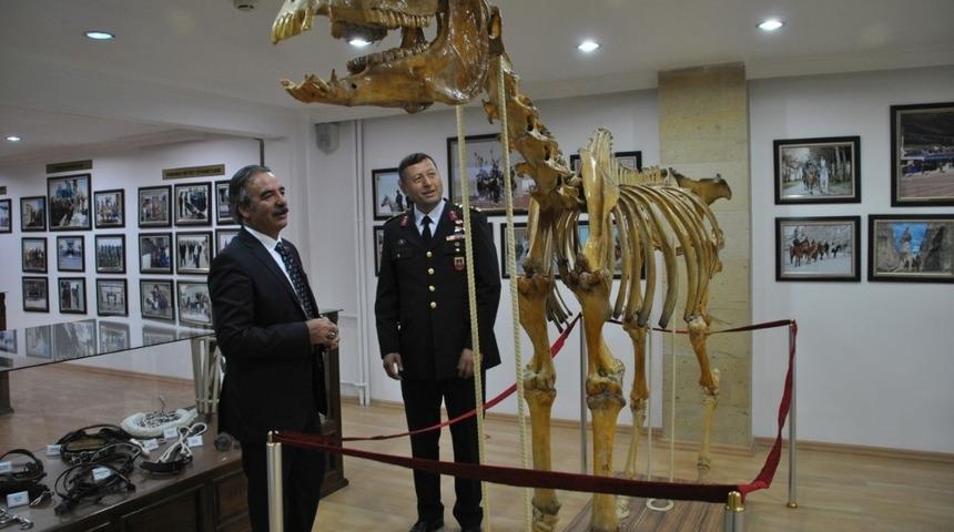 NEV&Uuml; ve JAKEM Komutanlığı arasında atlı terapi ve binicilik eğitimi