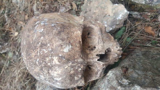 Mersin’de 3 kişiye ait kafatası ve kemik bulundu