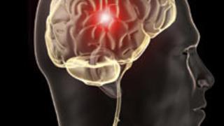 Kadın Beyninin Farkları