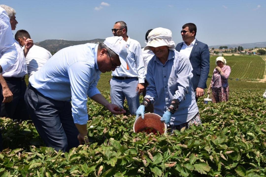 Vali Deniz &ccedil;ift&ccedil;ilerle birlikte hasat yaptı