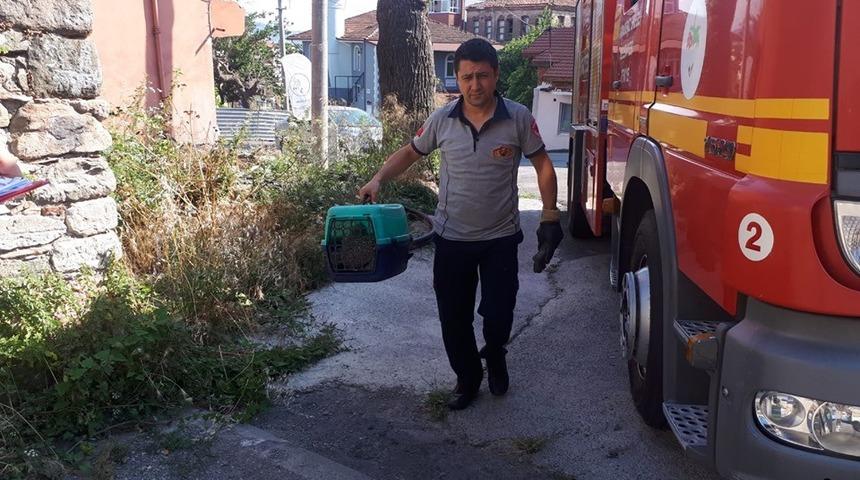 Havalandırma boşluğuna d&uuml;şen martı kurtarıldı