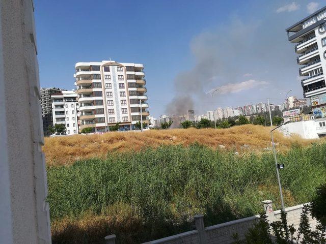 Şanlıurfa’da anız yangını korkuttu