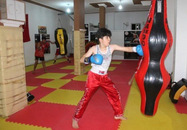Mazıdağılı kick boksçular, Türkiye şampiyonasında mücadele edecek