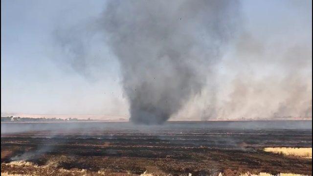 Nusaybin'de anız yangını