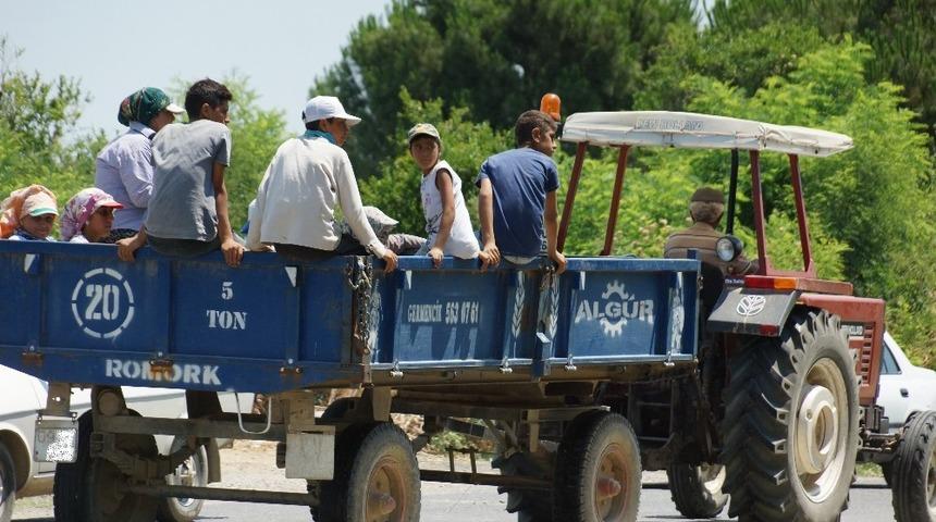 Trakt&ouml;r kasasında tehlikeli yolculuk