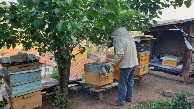 Nallıhan’da 2019 yılı bal hasadı erken başladı