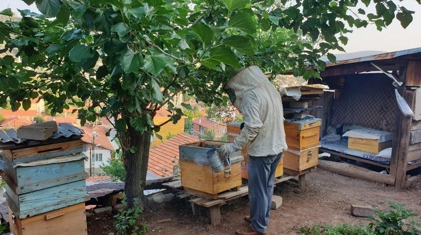 Nallıhan’da 2019 yılı bal hasadı erken başladı