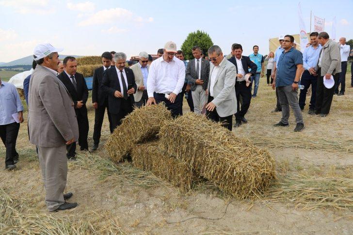 Aslanapa’da Macar Fiği Tarla Günü etkinliği G3