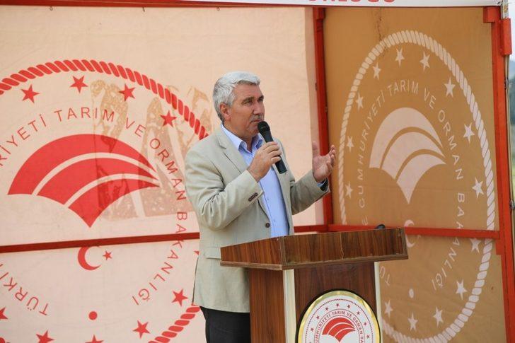 Aslanapa’da Macar Fiği Tarla Günü etkinliği G5