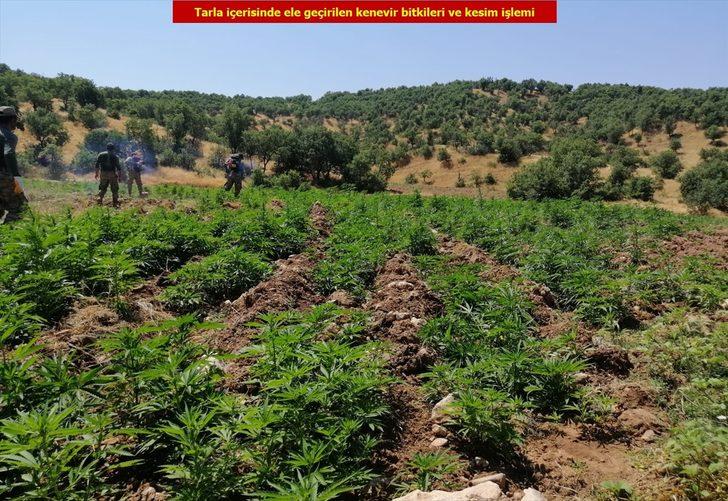 Çalıların arasına gizlemişler! Hepsi ele geçirildi G1