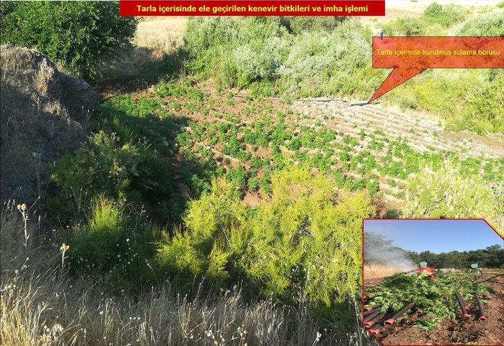 Çalıların arasına gizlemişler! Hepsi ele geçirildi G2