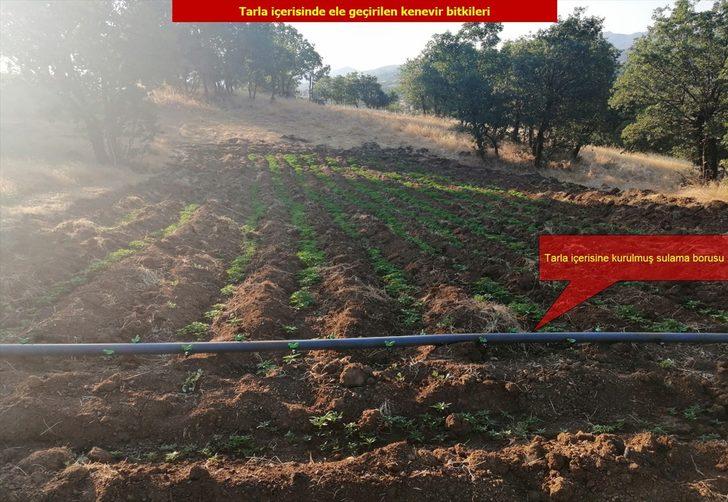 Çalıların arasına gizlemişler! Hepsi ele geçirildi G3