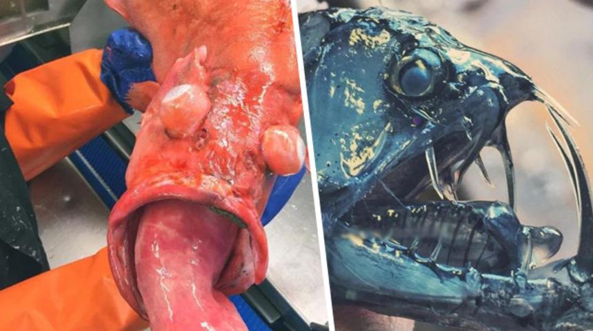 Oltasına takılanlar şoke etti! İnsanlar sudan korkuyorlar