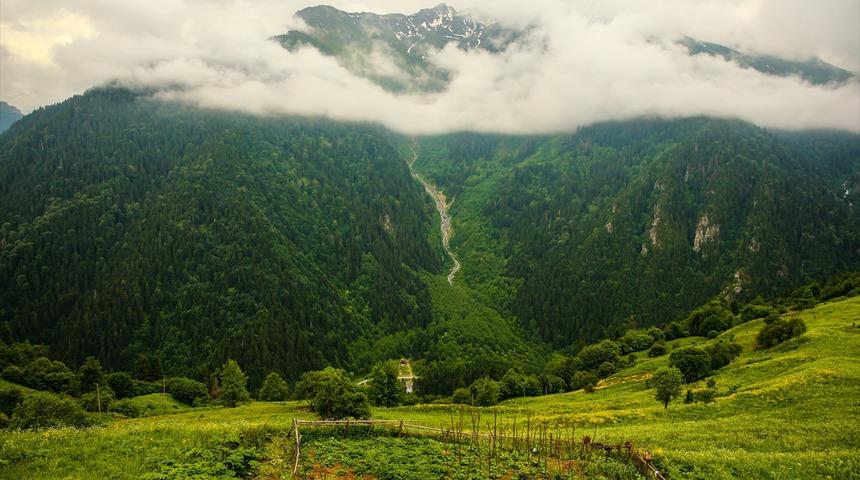 Yeşile doymak istiyorsanız burası tam size göre!
