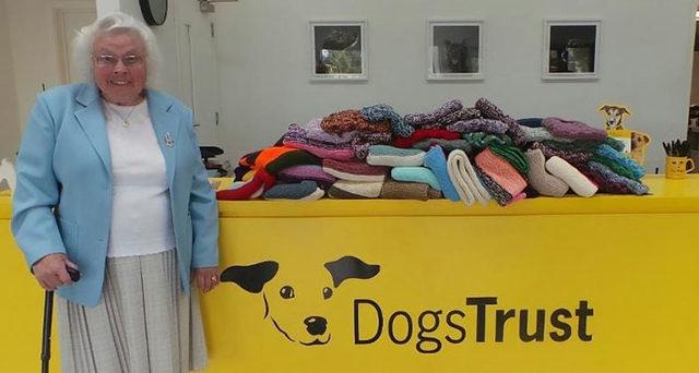 elderly-woman-knits-450-blankets-shelter-dog-dogs-trust-1-5d13842382d82__700