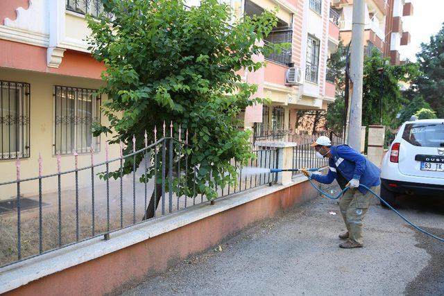 Temiz Haliliye için ekipler sahada