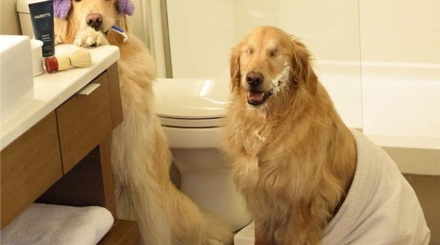 Bir nedenle g&ouml;zlerini kaybetti ama neşesini asla!