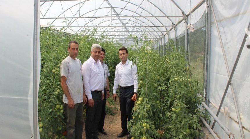 Kaymakam Okatan, jeotermal serada incelemelerde bulundu