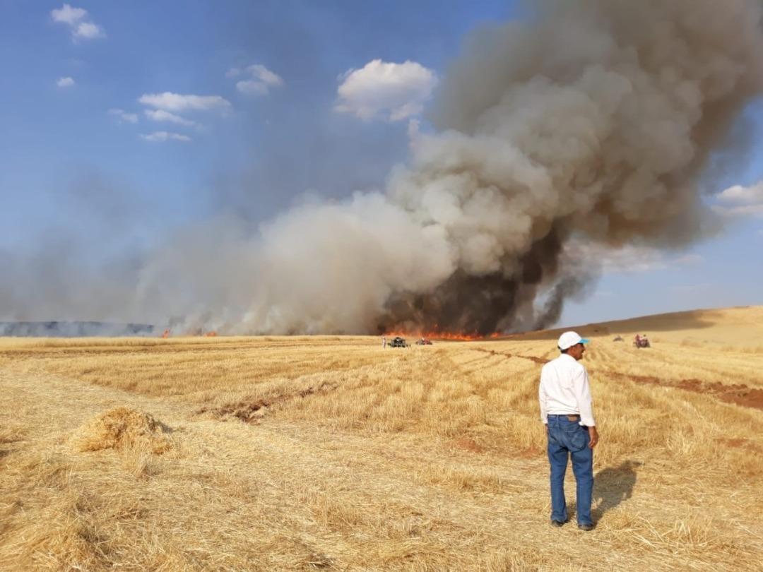 Bozova&rsquo;da 200 d&ouml;n&uuml;ml&uuml;k arpa tarlası k&uuml;l oldu