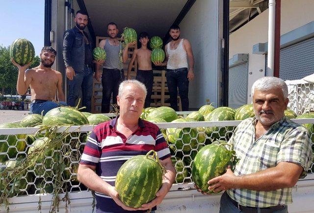 Atça karpuzu Almanya yolcusu