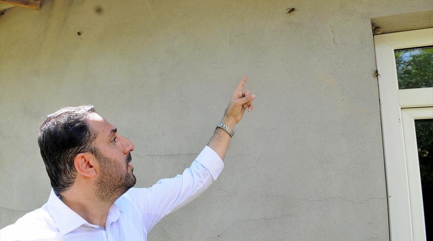 &Ccedil;ekirgeler &ccedil;ift&ccedil;inin korkulu r&uuml;yası oldu