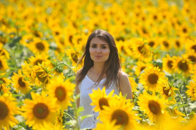 Doğal fotoğraf stüdyosu; ayçiçeği tarlaları