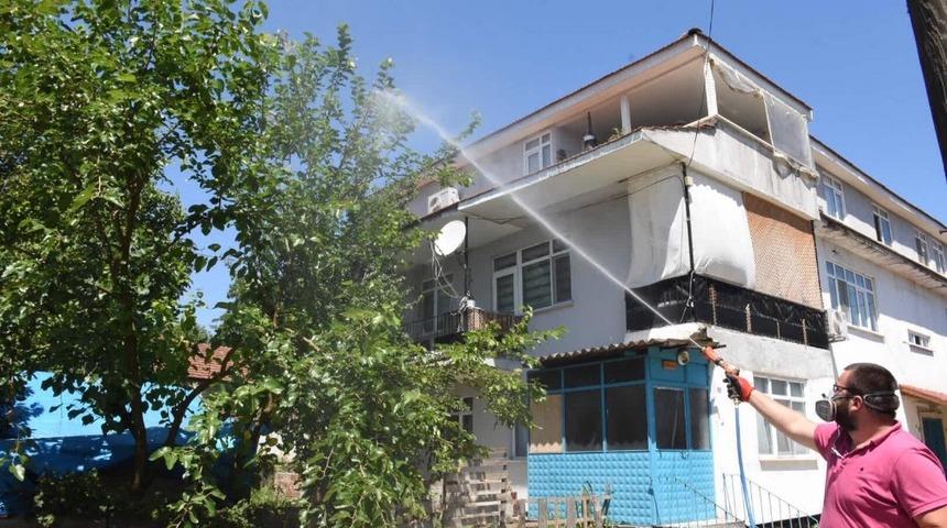 Düzce Belediyesi Amerikan Kelebeği ile mücadele ediyor