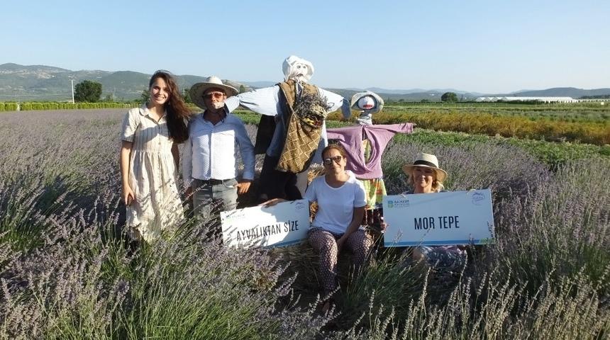 Burhaniye&rsquo;de lavanta umut oldu