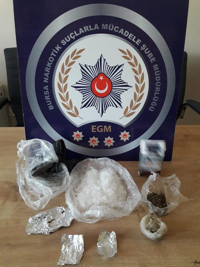 Bursa'da 1 kilo bonzai ele geçirildi, 7 gözaltı