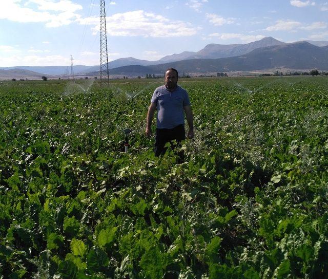 Isparta’da 34 üreticiye 402 bin lira bireysel sulama sistemi desteği